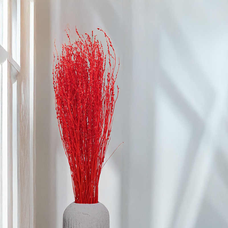 Lepidium Czerwone Suszone 1.png