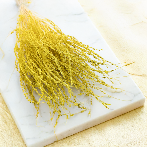 Lepidium Żółte Suszone 6.png