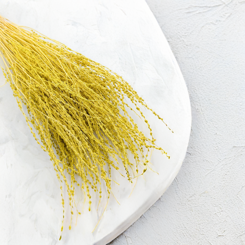 Lepidium Żółte Suszone 3.png