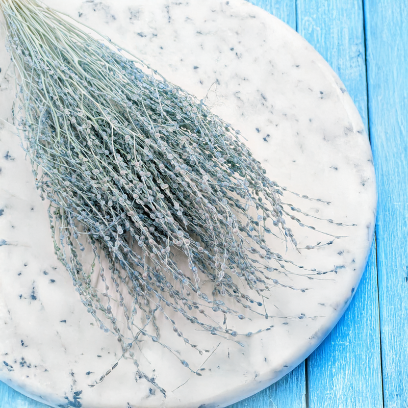 Lepidium miętowe suszone 4.png