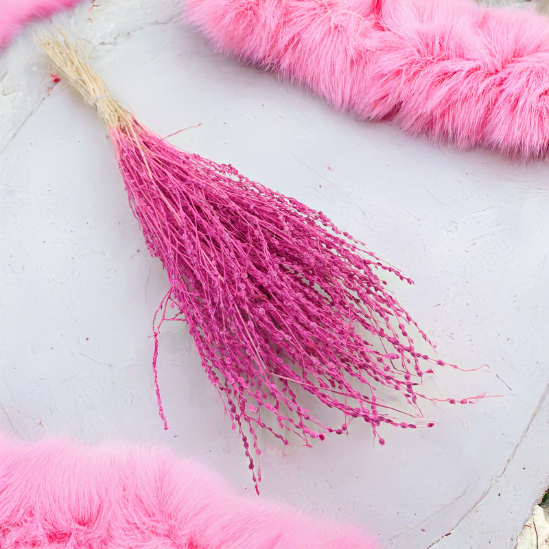 Lepidium Fuksja Suszone 4.png