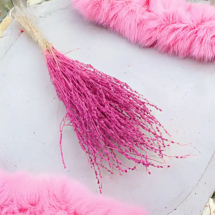 Lepidium Fuksja Suszone 3.png