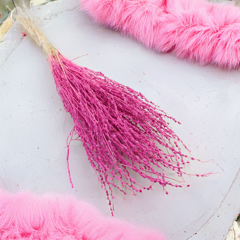 Lepidium Fuksja Suszone 3.png