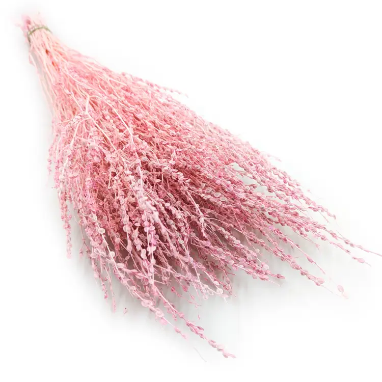 Lepidium Różowe suszone 5.png