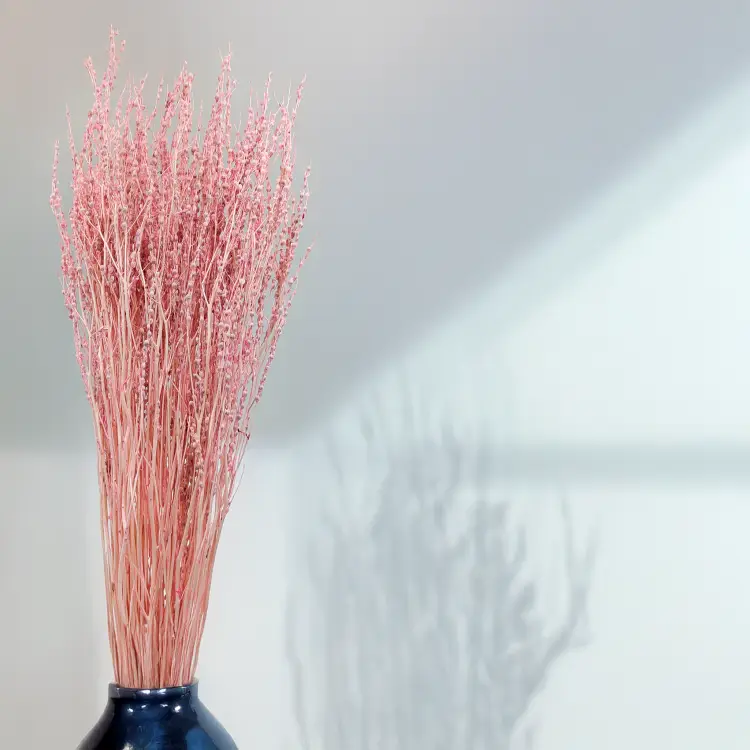 Lepidium Różowe suszone 1.png