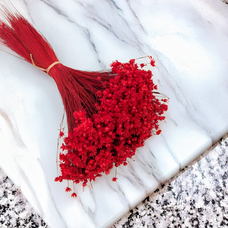 Glixia Marcela czerwona 2.png