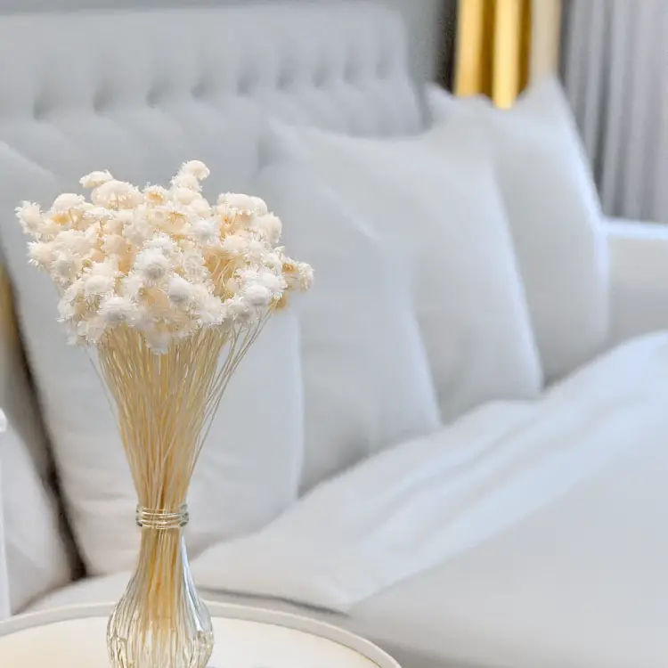 Glixia comanthera big bielona 4.png