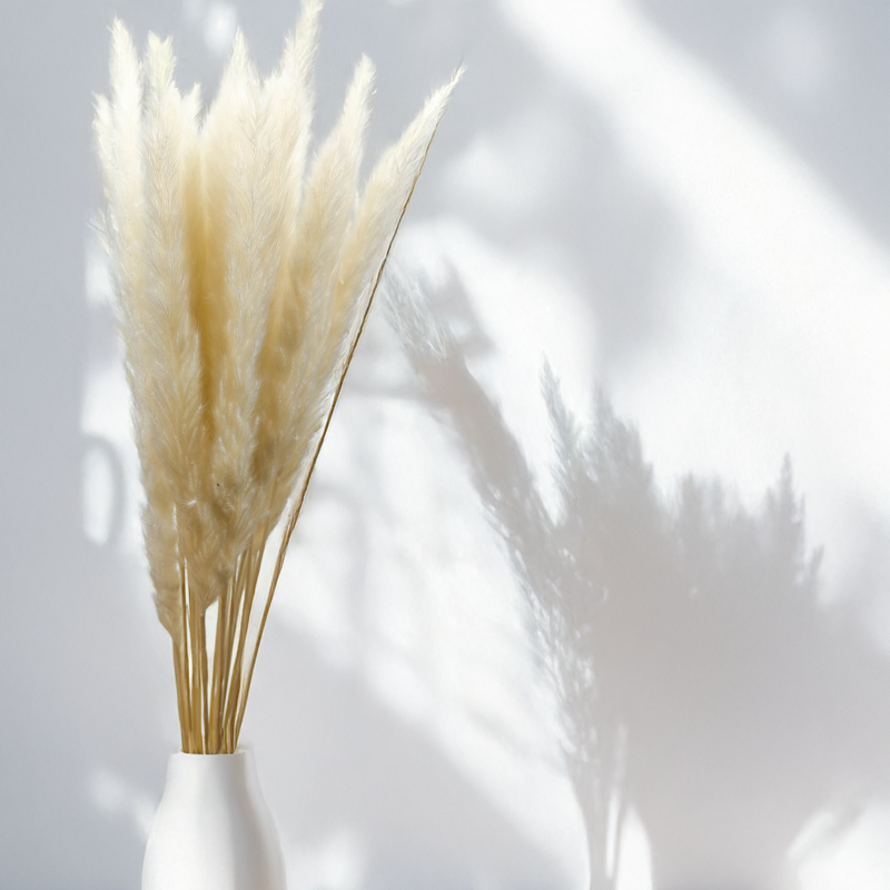 Mini Pampas Bielony 4.png