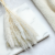 Mini Pampas Bielony 2.png