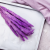 Mini pampas Fioletowy 2.png