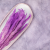 Mini pampas Fioletowy 1.png