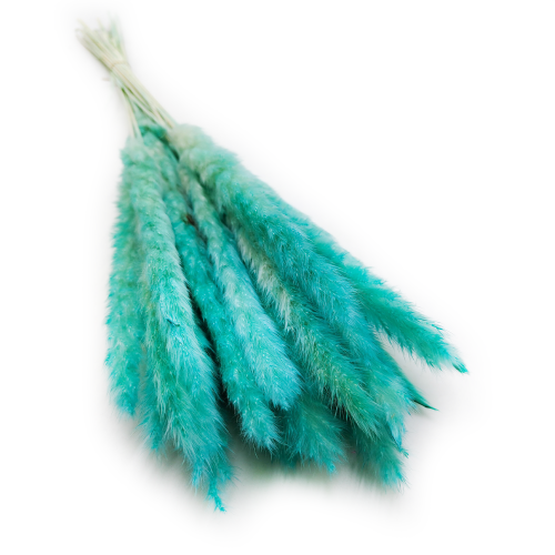 Mini Pampas Miętowy 5.png