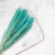 Mini Pampas Miętowy 3.png
