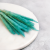 Mini Pampas Miętowy 1 (1).png