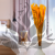 Mini pampas Pomarańczowy 5.png