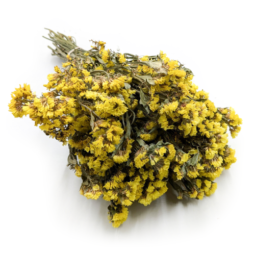 Zatrwian Żółty suszony 4.png