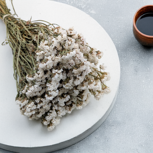 Zatrwian Biały suszony 5.png