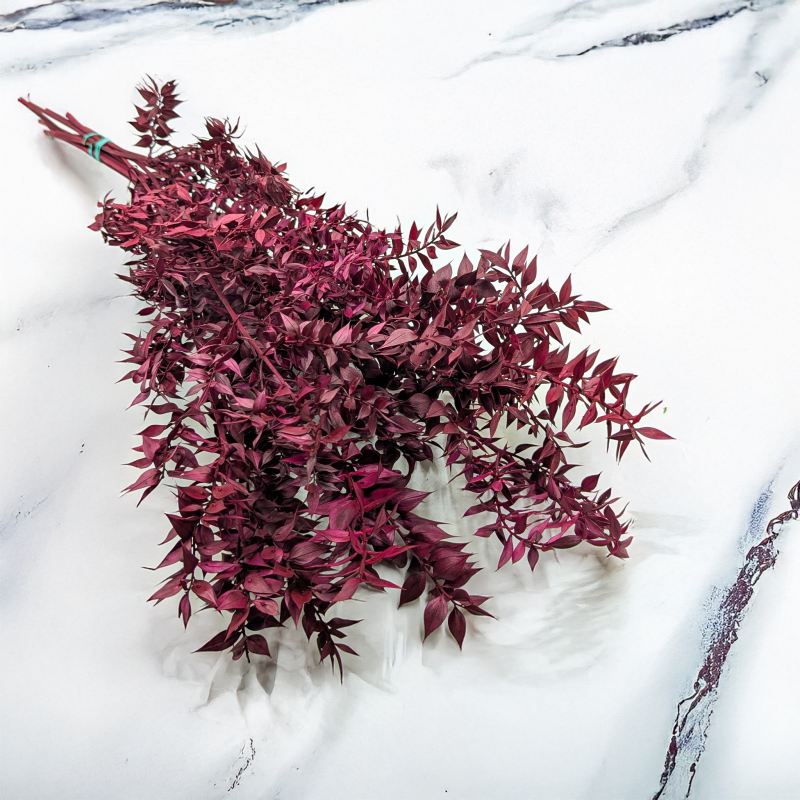 Ruskus stabilizowany Wiśniowy.png