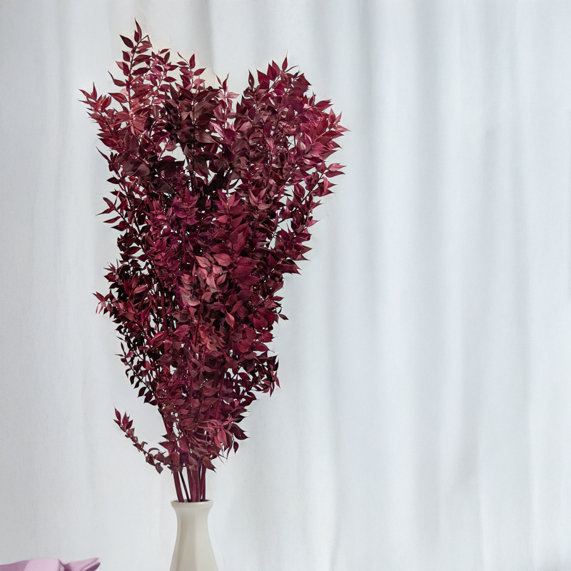 Ruskus stabilizowany Wiśniowy 3.png