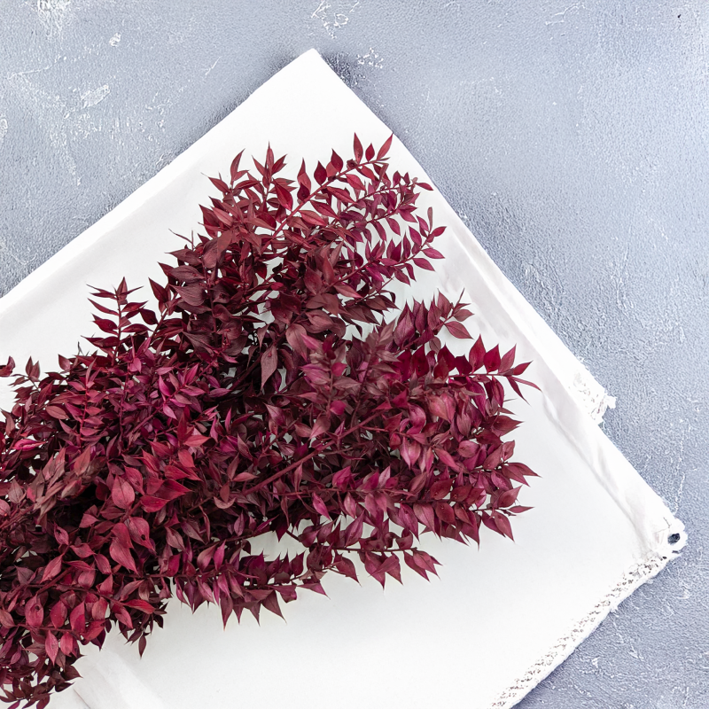 Ruskus stabilizowany Wiśniowy 2.png