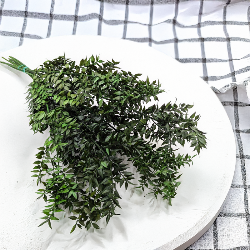 Ruskus stabilizowany Zielony 2.png