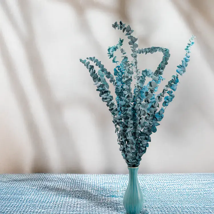 Eukaliptus baby matowy zielony 4.png