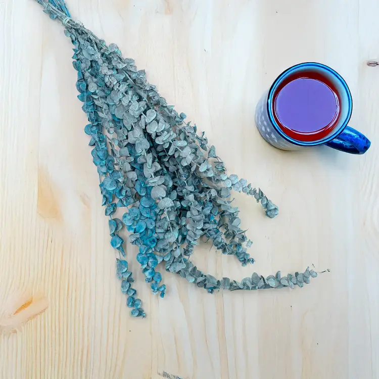 Eukaliptus baby matowy zielony 1.png