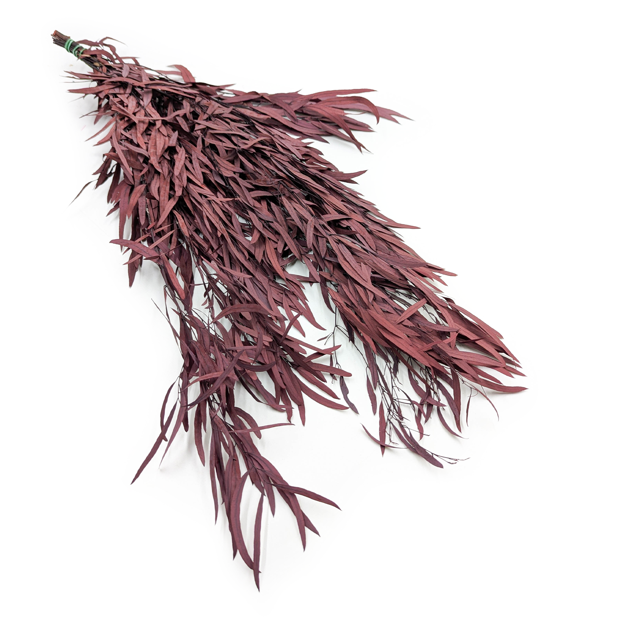 Eucalyptus stabilisé – Nicoly – Rouge