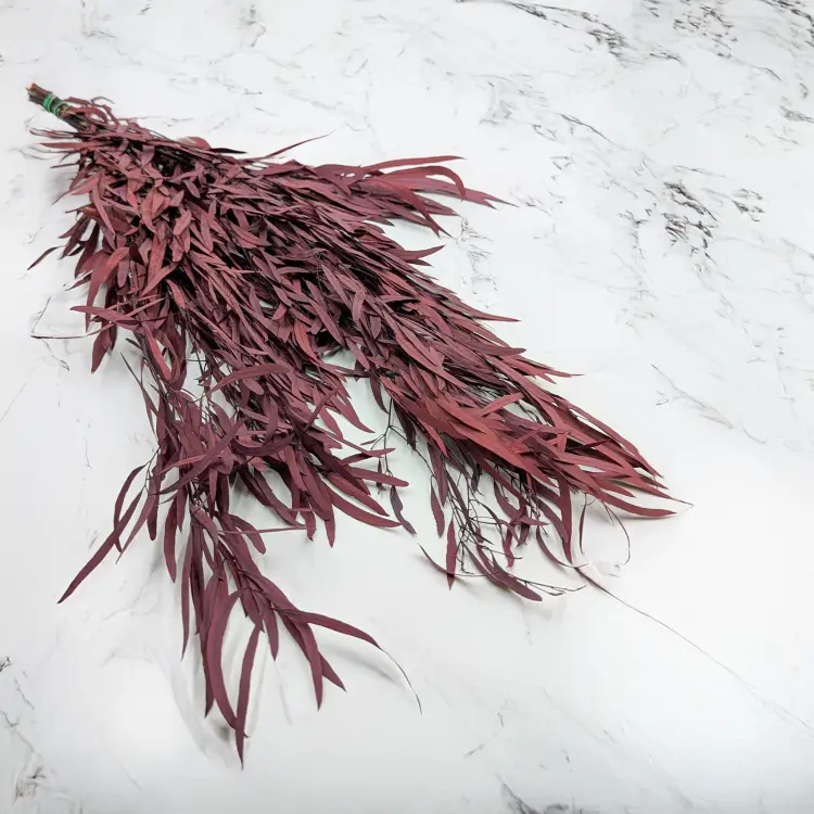 Eukaliptus Nicoly czerwony.png