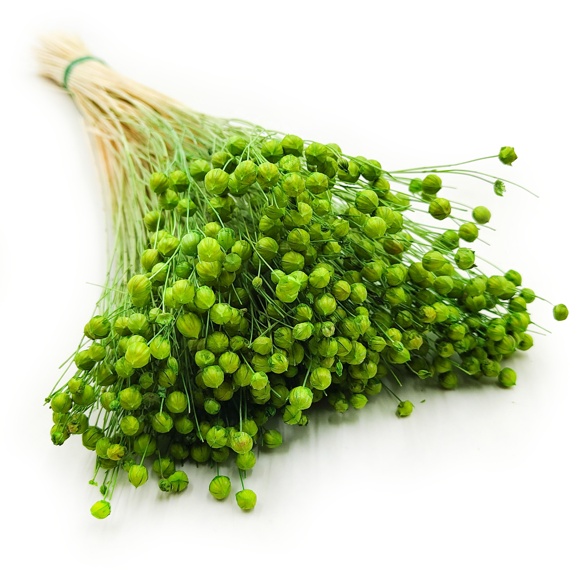 Lin Séché – Vert