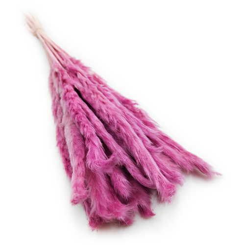 Mini pampas Wrzosowy 4.png