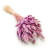 Suszony Lagurus wrzosowy heather 4.png