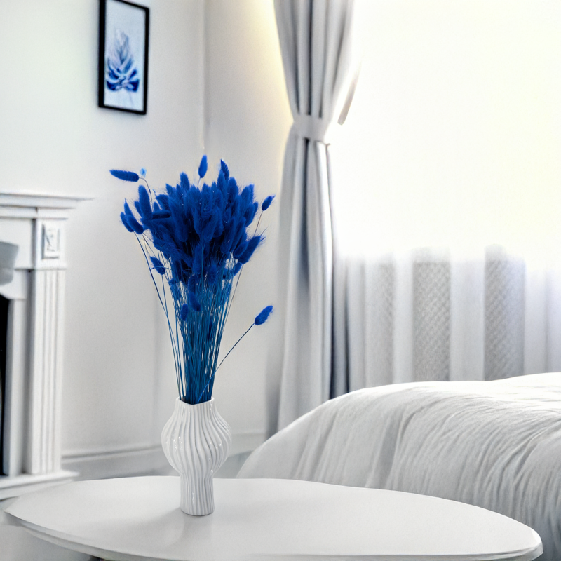 Lagurus granatowy 4.png