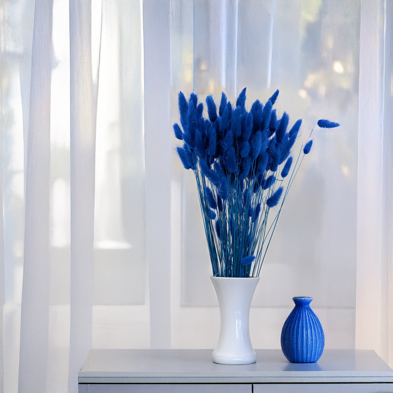 Lagurus granatowy 3.png