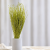 Lepidium Zielone Suszone.png