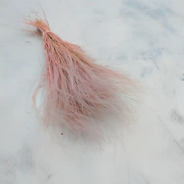Stipa wrzosowa.png