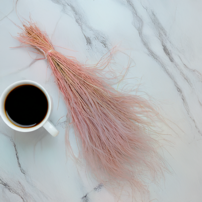 Stipa wrzosowa 1.png