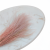 Stipa wrzosowa 2.png