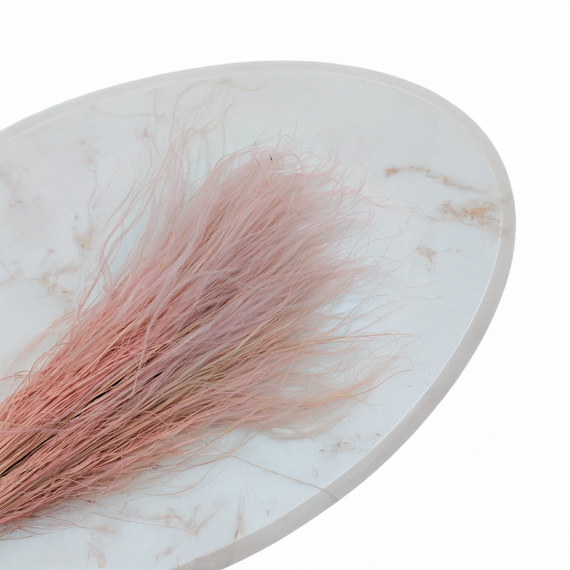 Stipa wrzosowa 2.png