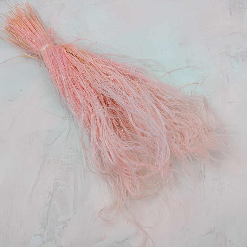 Stipa różowa 1.png