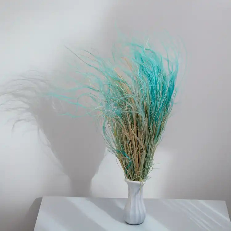 Stipa miętowa 3.png
