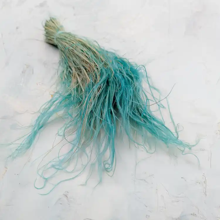 Stipa miętowa.png