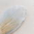 Stipa bielona 2.png