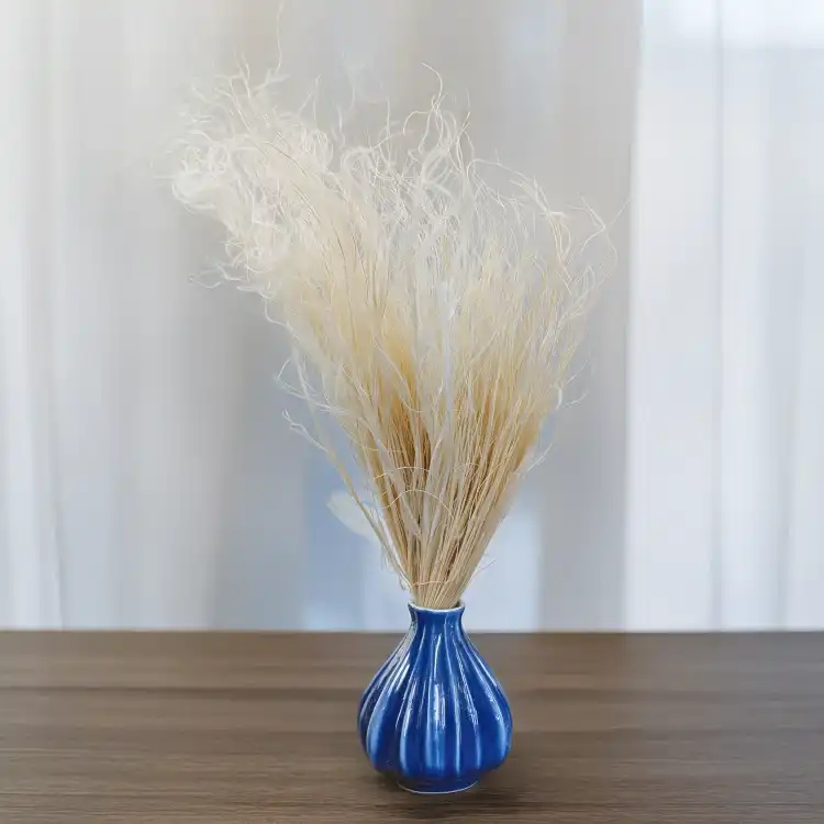 Stipa bielona 3.png