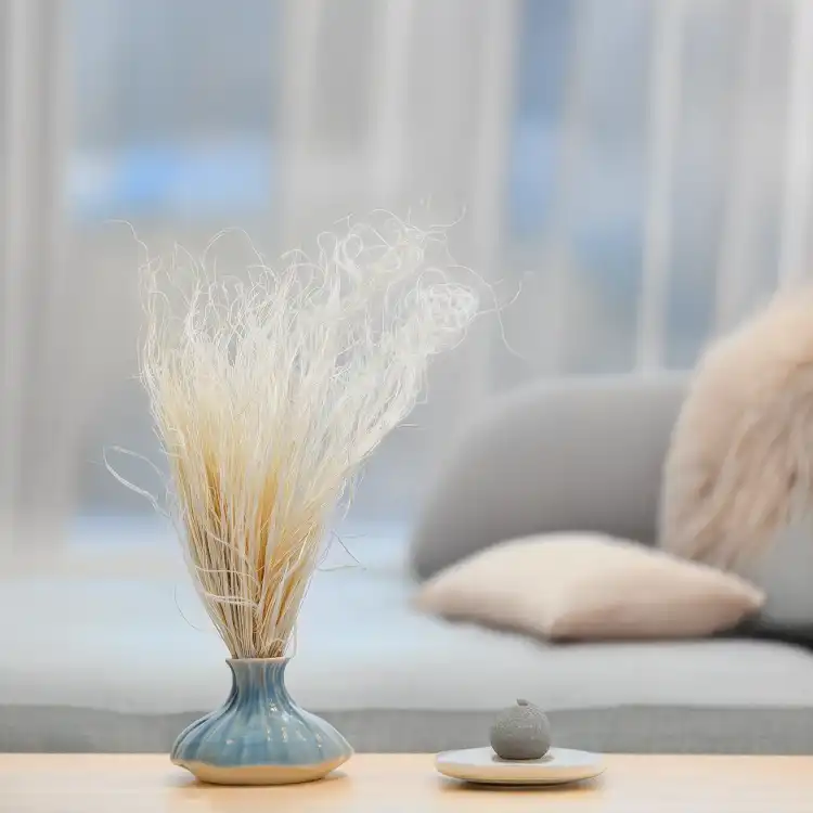 Stipa bielona 4.png