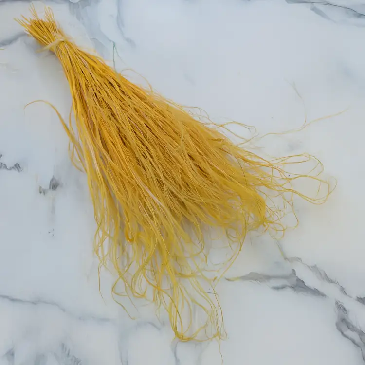 Stipa imbirowa 1.png