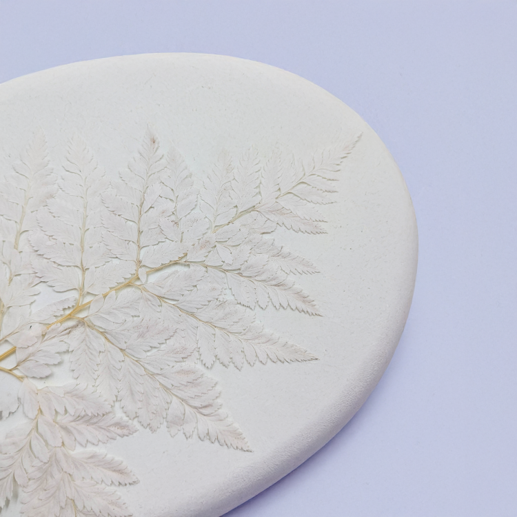 Paproć skórzasta long bielona 3.png