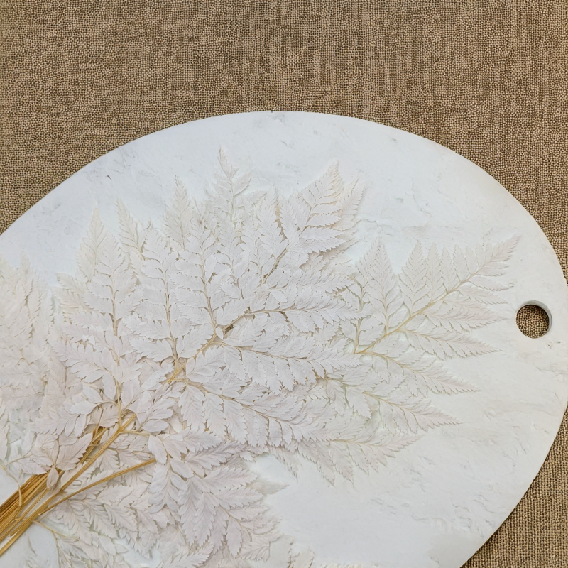 Paproć skórzasta long bielona 4.png