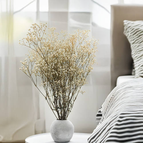 Gipsówka Stabilizowana Naturalna.png