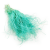Stipa miętowa.png